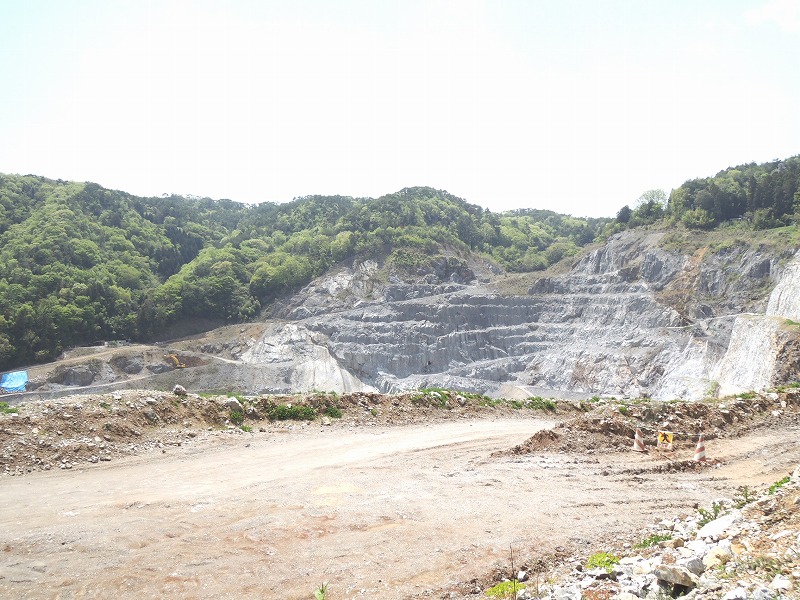 日南石灰岩の採掘場中腹